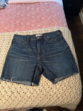 Everlane The Denim Short Organic Cotton Size 30